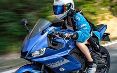 把女人弄爽特黄A大片片